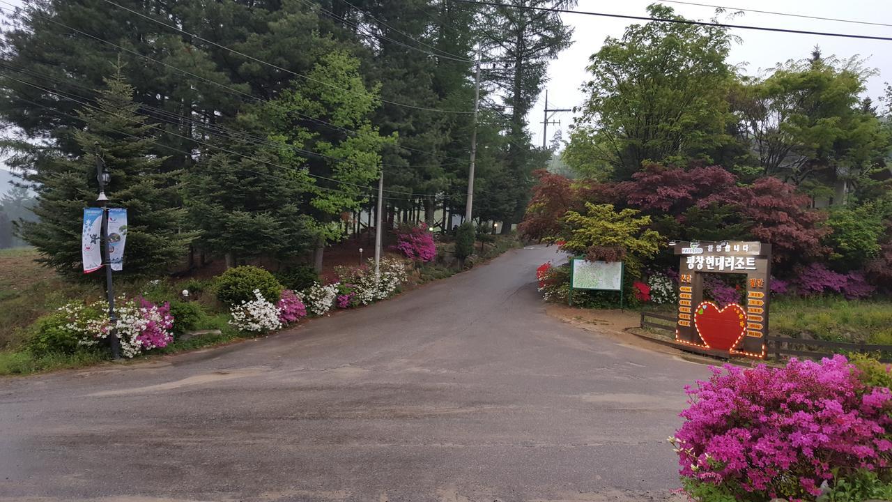 Pyeongchang Iris Pension Екстер'єр фото